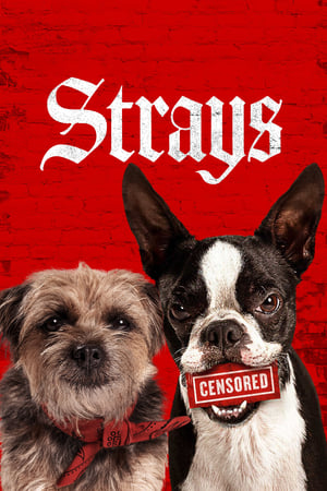 ✅ Download Strays (2023) BluRay Full Movie (Hindi-English) 480p & 720p & 1080p Qualities. This is a Hollywood movie and Available in 480p in , 720p in &...